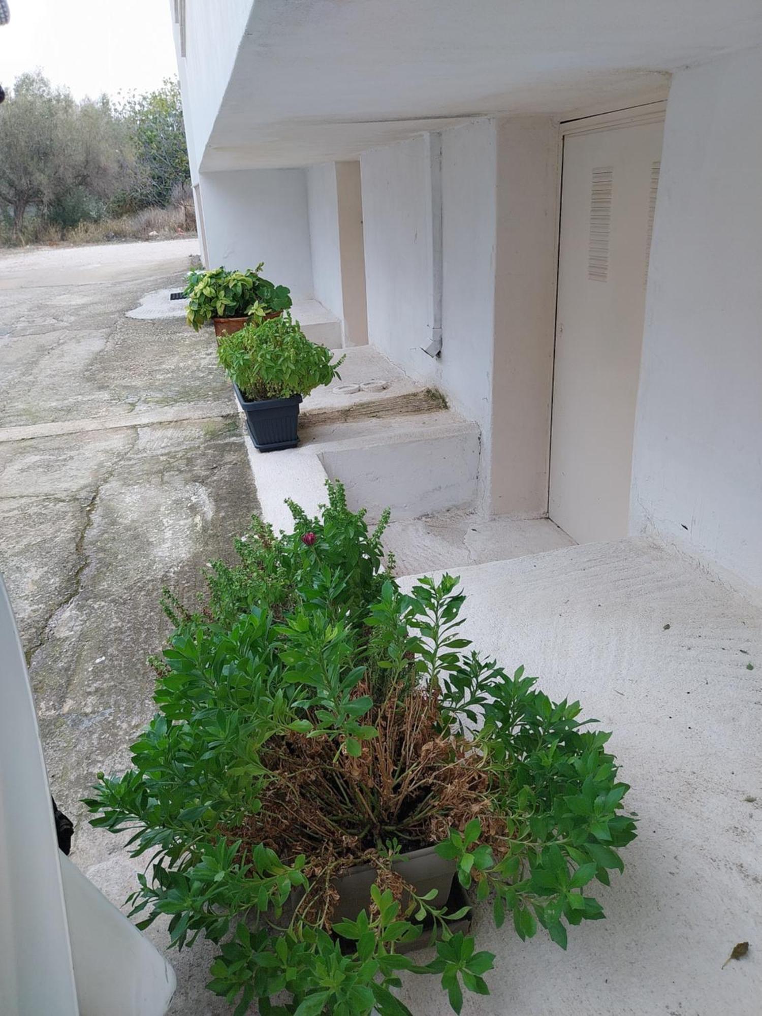 Nav Apart, Salamina Paloukia ภายนอก รูปภาพ